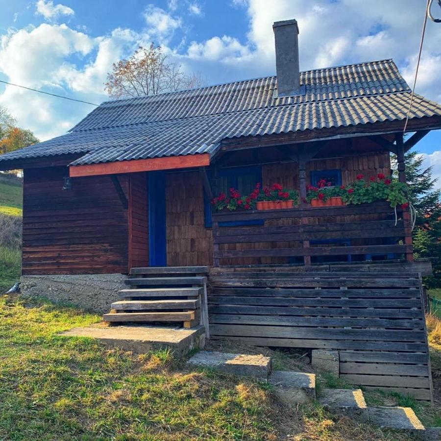 Vila Casuta Mariei Borşa Exteriér fotografie