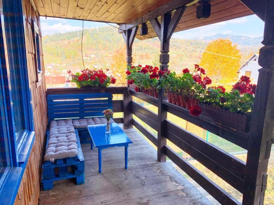 Vila Casuta Mariei Borşa Exteriér fotografie